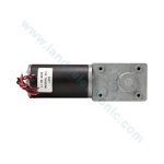 موتور DC گیربکس حلزونی ZWL-31ZY (12 ولت 60 دور)